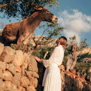 Angled image of a woman in white dress as she stands by an stone retaining wall gazing at brown donkey on the other side.
