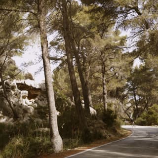A quiet road, lined with shady Mallorcan pine trees and limestone boulders, offers a peaceful route for exploring by bike.