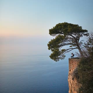 View from a distance of a photographer standing on a cliffside under a tree at sunrise