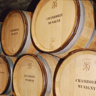 Close-up of six wooden barrels stacked in a cellar bearing the Côte d’Or Burgundy winery name and logo of Chambolle Musigny.