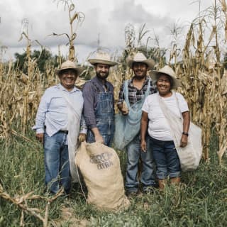 Fernando Laposse, second left, stands in a corn field with three Tonahuixtla farmers, all in white hats, with a sack of husks.