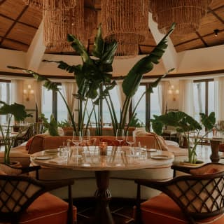 Giant strelitzia and alocasia stems reach for the wicker light pendants in the elegant dining room of Woodend restaurant.