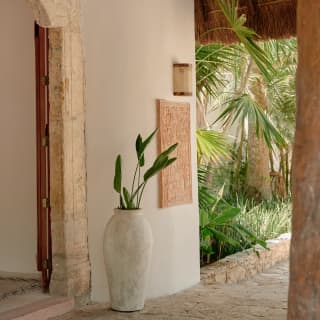 With glimpses of palms in the flower bed behind, a tall white pot with young strelitzia plant stands guard outside the lobby.
