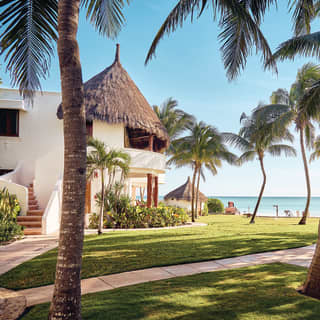 Garden path among palm trees and a thatch-roofed beach villa