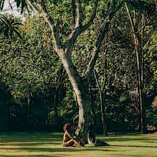 A woman sits on lawn beneath a tree in the verdant Maroma gardens.