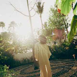 Angled image of a guest in the spa courtyard looking up at the sky as sunrays create a haze through the lush foliage.