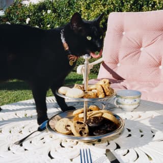 Nellie, the hotel's resident black cat, licks her lips as she stands next to a cake stand of treats on a white outdoor table.