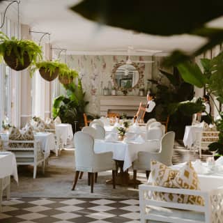 A staff member arranges chairs in the bright Lounge, ready to welcome guests for afternoon tea, viewed through plant leaves.