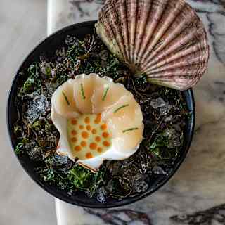 A decorative dish features a scallop shell with a white creamy filling, topped with orange dots, set on a bed of greens and seaweed in a black bowl, on a marble surface.
