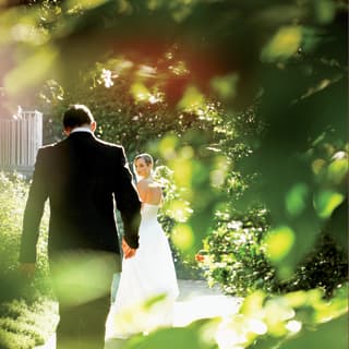 Seen through tree branches, a bride in white looks back at her groom in a dark suit as they stroll in the sunny garden.