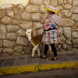 A lady wearing traditional clothing, standing near an alpaca in Cusco