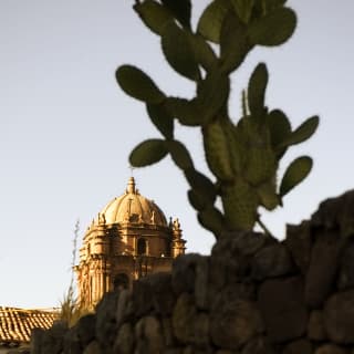 An old church tower spotted behind a tall cactus while walking in historic Cusco