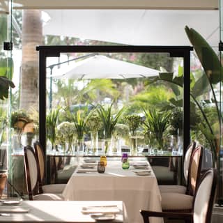Bright restaurant with potted palms and a glass wall with gardens beyond