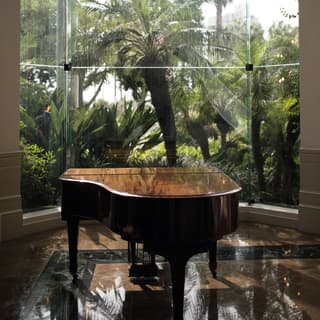 Polished grand piano dappled with palm leaf shadows from the windows beyond