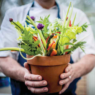 Chef holding a plant pot filled with fresh vegetables and flowers