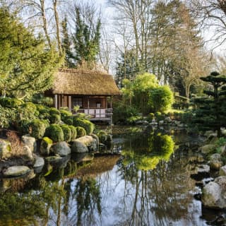 Pond surrounded by rocks in the style of a Japanese garden