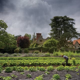 Purple clouds gather menacingly across a huge sky. A gardener bends low over the vegetable patch, using precious minutes