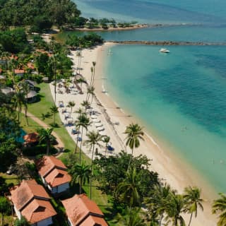 Aerial view of Napasai's palm-fringed coast, with green lawns bordering a white sand beach that meets an aquamarine sea.