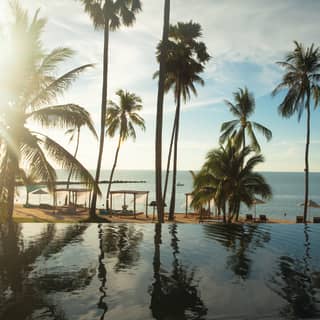 Sun bursting through palm leaves, reflected in a hotel infinity pool