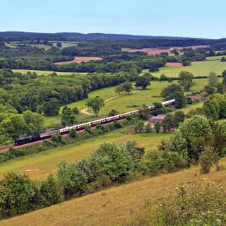 The black body of the steam engine pulls cream and burgundy carriages through a perfect lush English countryside