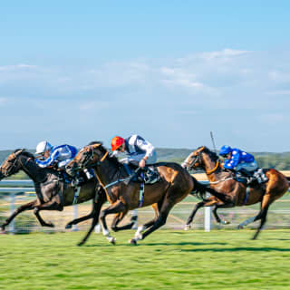 Three jockeys in colourful silks race their horses close to the white fencing. Behind them the English countryside stretches