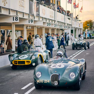A Jaguar C-Type, Aston Martin DB3s and Frazer Nash Le Mans rep cruise the track in front of the crowd enclosures at Goodwood.