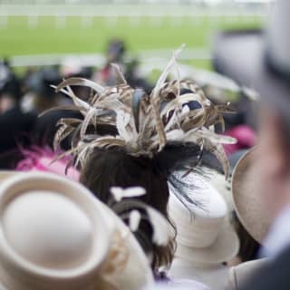 crowd of horse racing spectator 