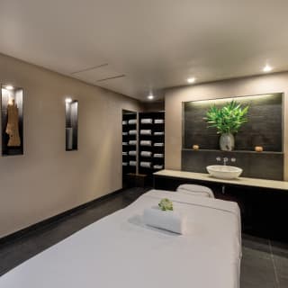 Single spa treatment room with slate tiles and potted palm on a shelf
