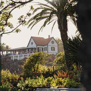 View of Ristorante Villa Cipriani's wide dining terrace, seen from lush gardens below where a bench rests beneath palm trees.
