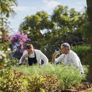 Two chefs in chef whites inhaling the scent of fresh herbs plucked from gardens