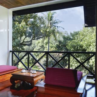 Hotel room balcony with sunbeds overlooking lush jungle gardens