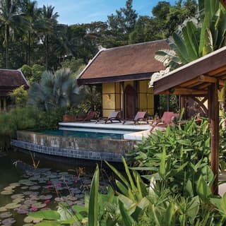 A thatched hut beyond sunbeds and pool with a lily pond in front