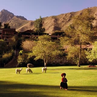 Soaring mountains rise behind the hotel while llamas graze on the lawns in front