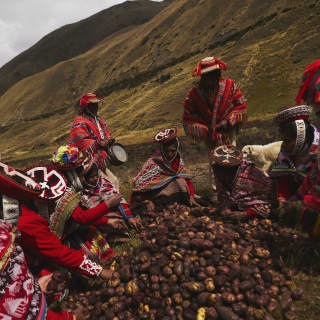 Dressed in traditional weaves, local men and women sit around a mound of potatoes, harvested as an offering to Pachamama.