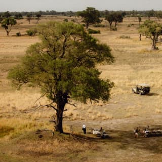 With a jeep nearby, guests dine in the shade of a tall mopane tree, in tree-studded dry, gold grass plains, seen from above.