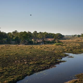 Safari lodges nestled among trees on a lush grassy plain next to a river delta