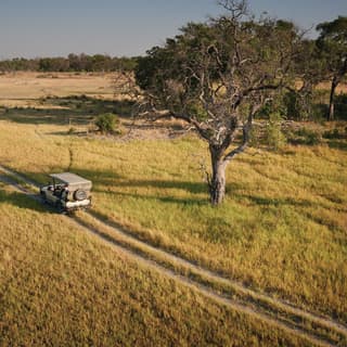 Aerial view of a safari rover driving on a track through grasslands