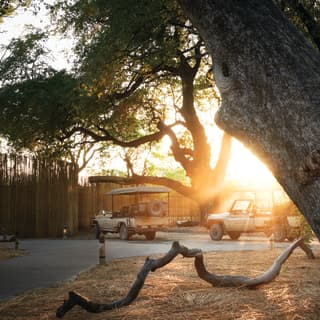 Two safari rovers parked outside a luxurious lodge with sunlight bursting through a tree