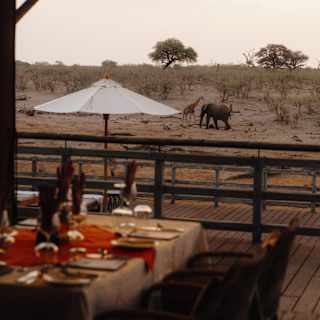 An elephant and a giraffe wander the sandy plains, seen from the restaurant over a dining table, laid and awaiting guests.
