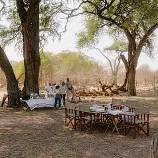 Outdoor dining setup under tall trees with a table and chairs arranged on dry ground. Two people stand near a buffet table, with sunlight filtering through the branches in a serene, natural setting.