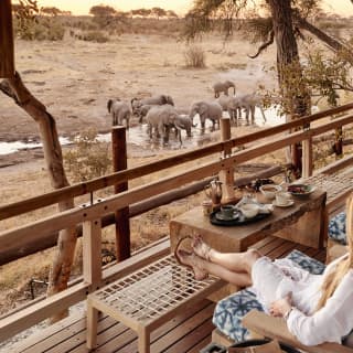 A guest relaxes in a cushioned armchair on the terrace watching wild elephants just below