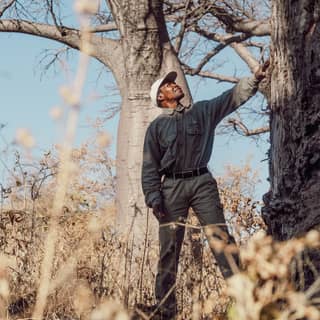 An excursion gives guests a chance to get up close to the famous baobab trees