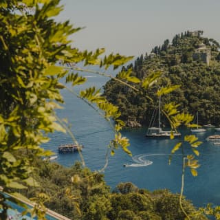 View over the pool and Baia Cannone where a boat swerves across the azure water, seen through vines from the Riviera Suite.