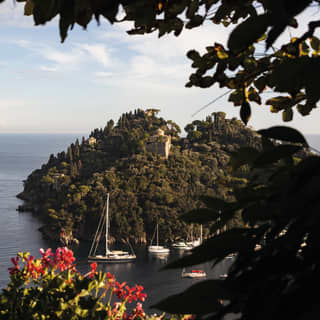 Pelargoniums frame the foreground, before plunging views to the sea where sailboats are moored near tree lined cliffs