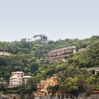 An assortment of sherbert coloured Italian villas surrounded by trees on a coastal cliff