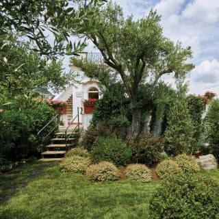 In lush gardens with olive trees and alliums, the white Villa Margherita can be glimpsed with steps to its rooftop terrace.