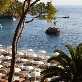 A view through the pine trees from the hillside reveals neat rows of white parasols shading matching sun loungers