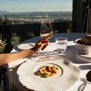 A hand holds a glass of white wine over a table set with a gourmet dish, a water glass, and bread, with a scenic view of a city and landscape in the background under a clear blue sky.