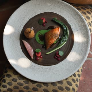 Looking down on a pale, stoneware plate with crispy-skinned roast game, legumes, breaded meat bonbon and berry garnish.