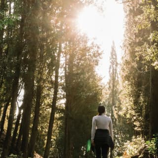 Lady in hiking gear strolling along a path in a forest with sun bursting through the trees